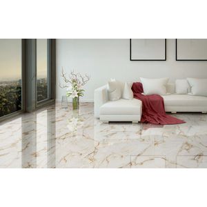 Porcelanato Nilo Retificado Hd Polido 60x60 Cm 1,80 M² Triunfo