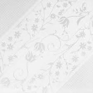 Revestimento Cerâmico Florata Branco 43x43 - Ceral
