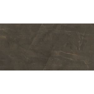 Porcelanato Esmaltado Pulpis Brown PO 59X118,2 CX 1,39 M Eliane