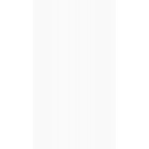 Cerâmica Brilhante Isabela Plus Brilhante 32x57 Cm 2,22 M² Ceral