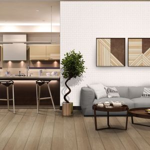 Cerâmica Native Hd 61,5x61,5 Cm 2,65 M² Ceral