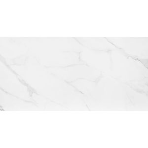 Porcelanato Esmaltado Mont Blanc AC 59X118,2 CX 1,39 M Eliane