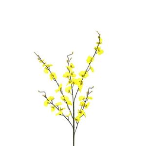 Orquídea Chuva De Ouro X5 92 Cm Amarelo Grillo