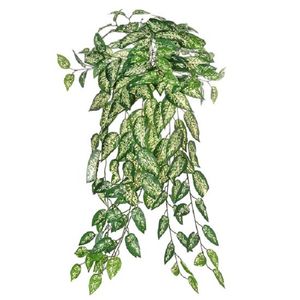 Folhagem Com 180 Folhas De Comigo Niguém Pode 90 Cm 250-050 Grillo