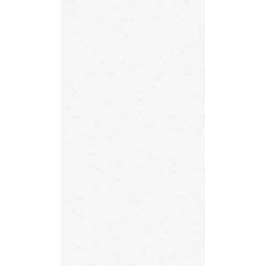 Cerâmica Branco/Everest Bizote 32x57 Cm 2,04 M² Cedasa