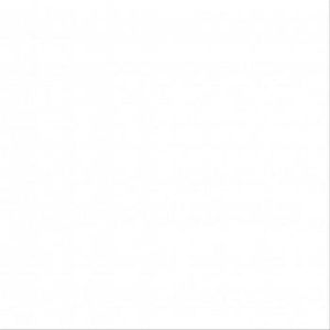 Cerâmica Itaúnas Branco HD Acetinado 62x62 Cm 3,08 M² Elizabeth