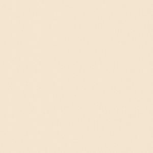 Revestimento Cerâmico Granilhado Brilhante PSI-66430 58x58 Cm 2,68 M² Incenor