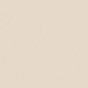 Porcelanato Avorio Polido 58x58 Cm 2,03 M² Tecnogres