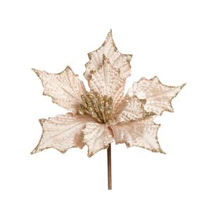 Poinsetia Flor Nude 1920928 Cromus