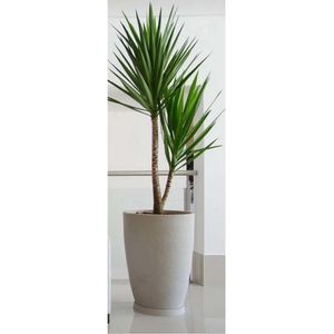Vaso Cônico Moderno 38 Cm Cimento Japi
