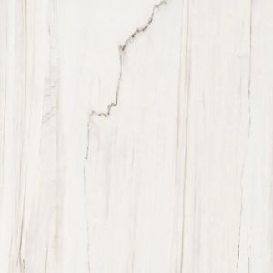 Porcelanato Fossile Polido 59x59 Cm 1,39 M² Eliane