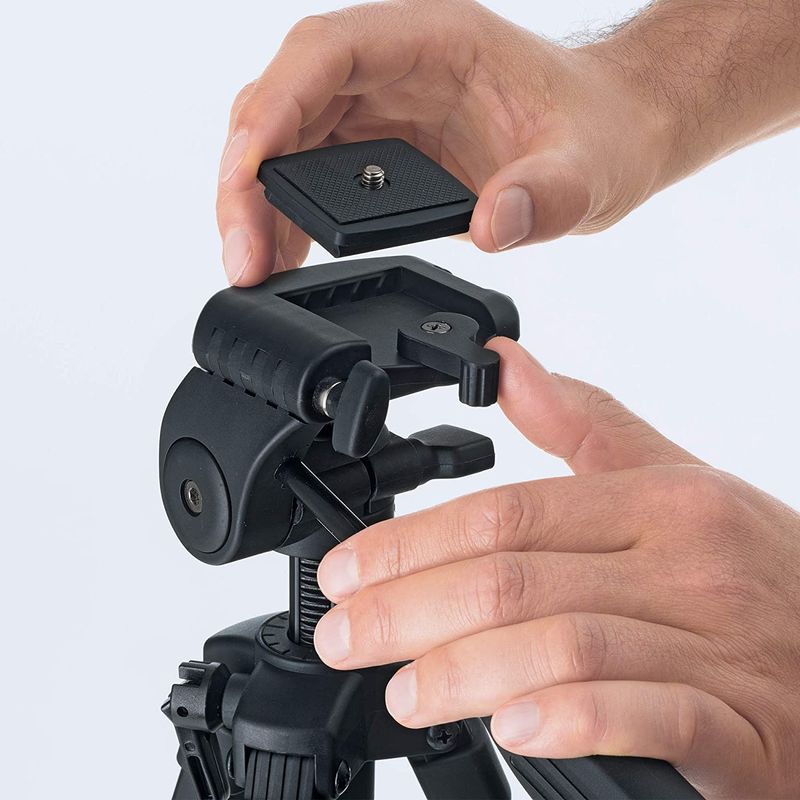 45590