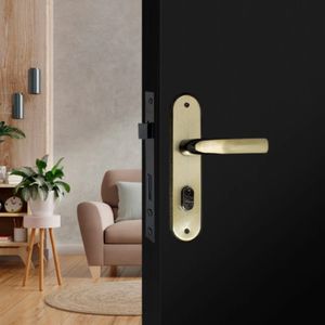 Fechadura Externa 1300 Viena Oxidado Silvana