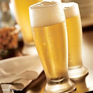Copo Chopp Tulipa Munich 300 Ml Nadir Figueiredo