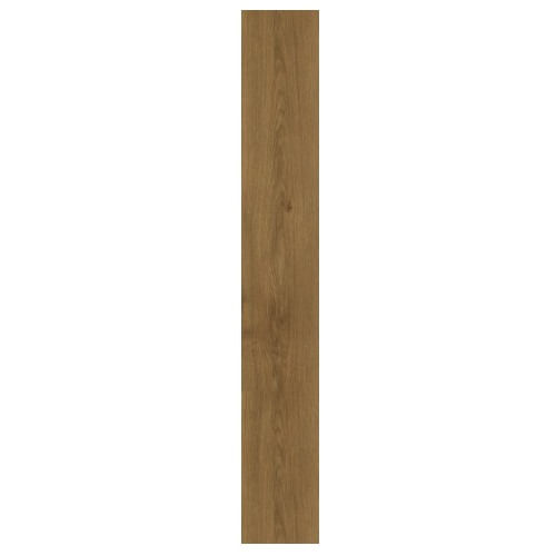 60801