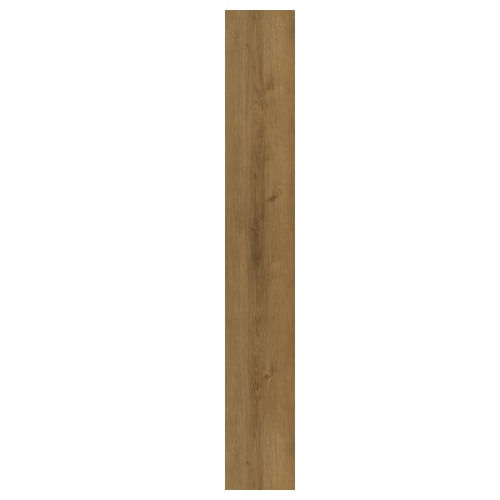 60801