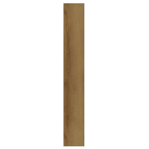 60801