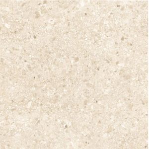Porcelanato Ceppo Stone Granilhado 94,5x94,5 Cm Bege 2,68 M² Cerbras