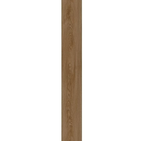 60800
