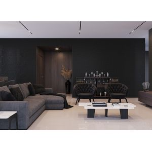 Porcelanato Gris Armani Lux Polido 120x120 Cm 2,88 M² Biancogres