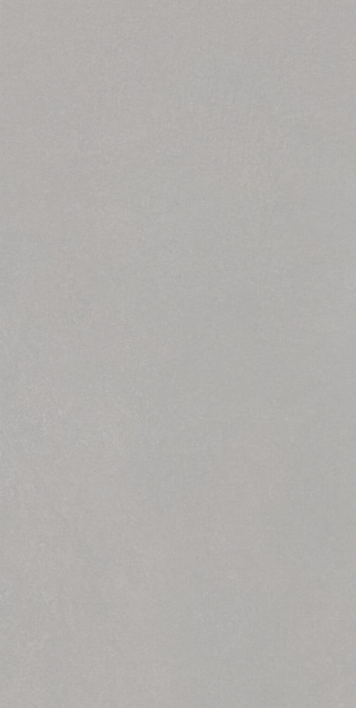 58293