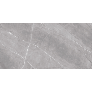 Porcelanato Marmo Gris Polido 120x240 Cm 2,88 M² Eliane