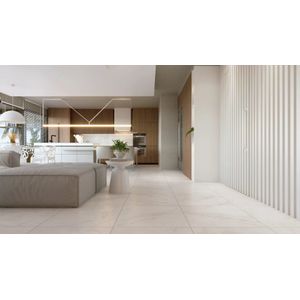 Porcelanato Netuno Gris Hd Mate 70x70 Cm 2,00 M² Cerbras
