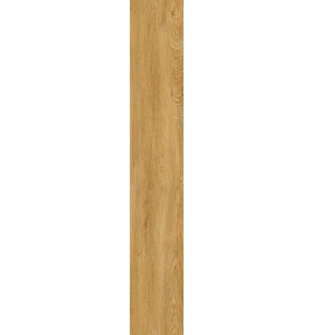 54642