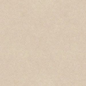 Porcelanato Pietra Naturale Cinza 60x60 Cm Externo 2,20M² Incesa