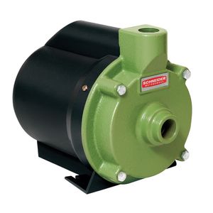 Motobomba Centrífuga Modelo Bcr-2010 3/4Cv Monofásica 127V Schneider