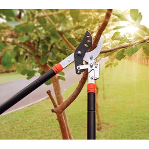 Tesoura de Poda Tipo Bypass Com Cabo Telescópico Extensível de 78 Cm Tramontina