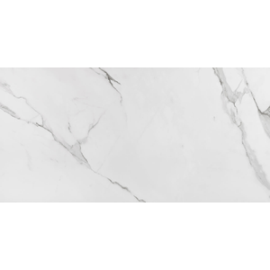 Porcelanato Place Polido 60x120 Cm 1,44 M² Eliane
