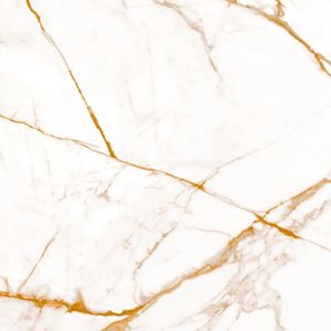 Cerâmica 67x67 Flox Retificada 2,71M² Arielle