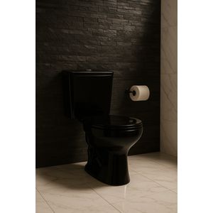 Vaso Sanitário Com Caixa Acoplada Saveiro Preto Celite