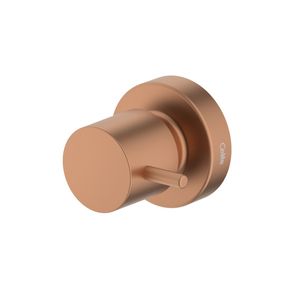 Acabamento Para Registro 1/2 3/4 1 Basic Rose Gold Fosco Celite