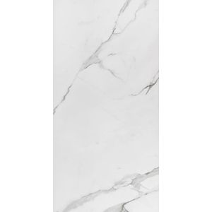 Porcelanato Place Retificado Acetinado 60x120 Cm 1,44M² Eliane
