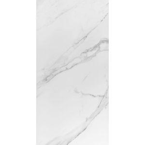 Porcelanato Place Retificado Acetinado 60x120 Cm 1,44M² Eliane