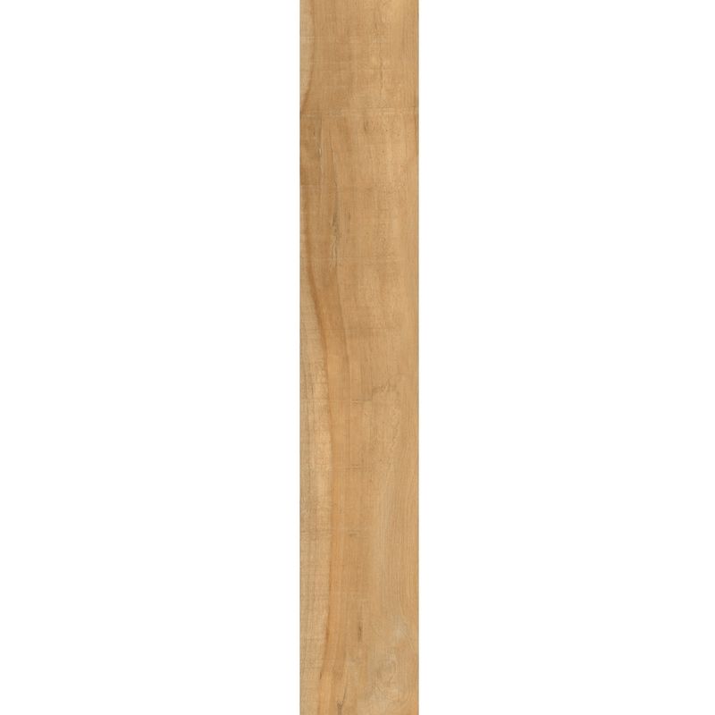 66691
